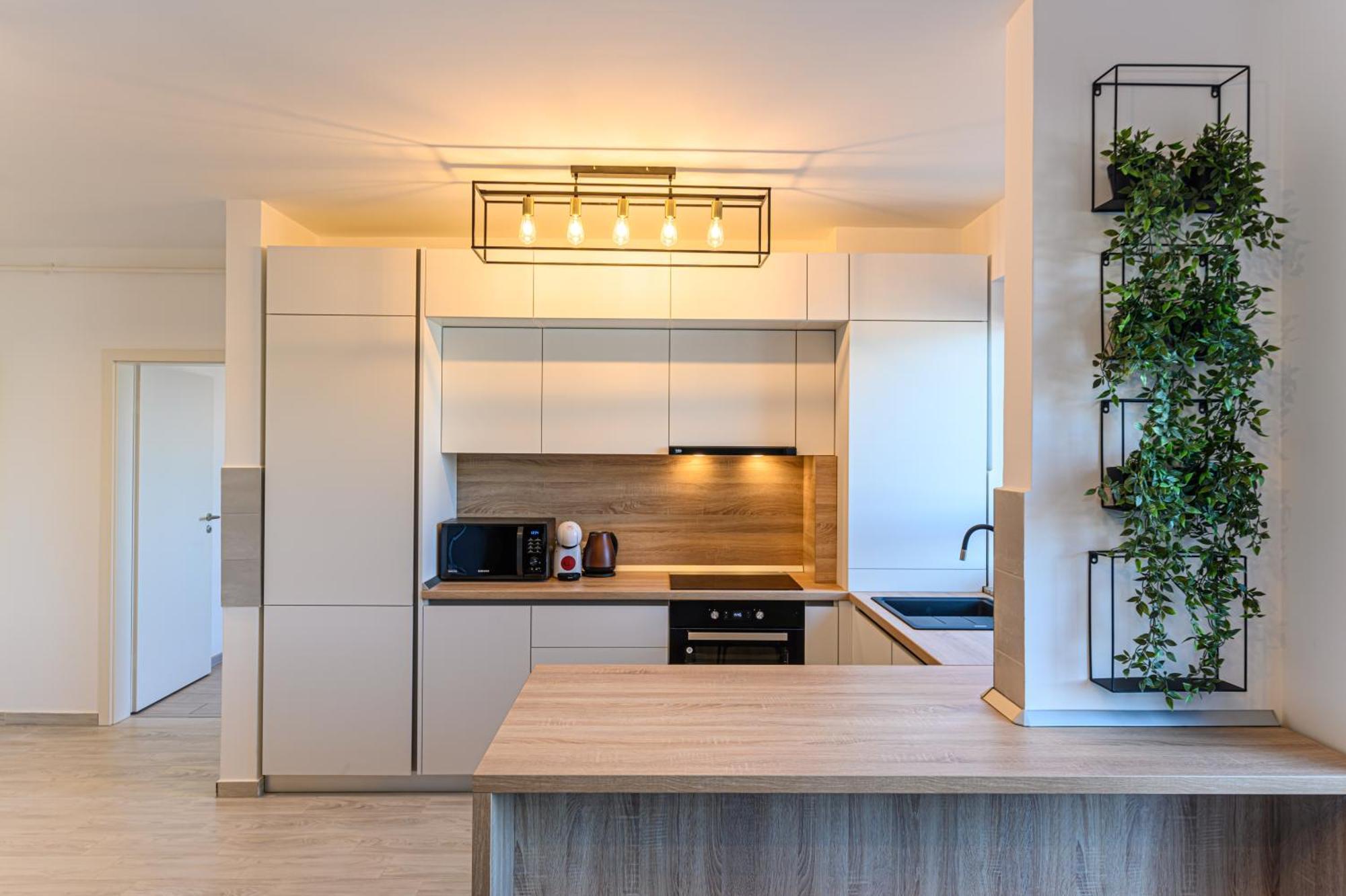 Koa - The Box Apartment Brasov Ngoại thất bức ảnh